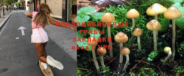 PSILOCYBIN Касимов