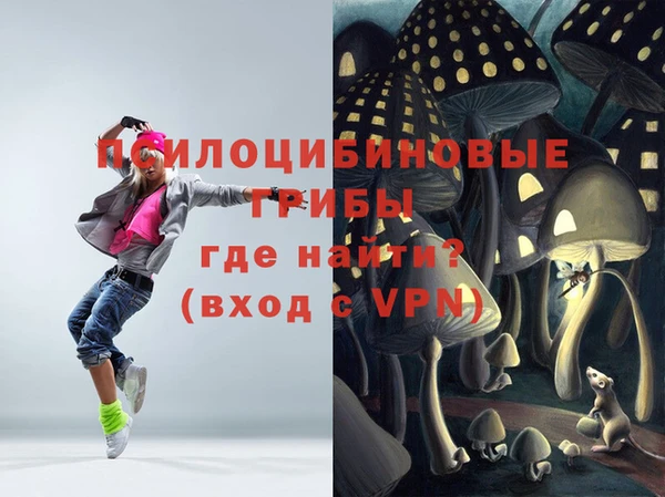 соль ск Карпинск