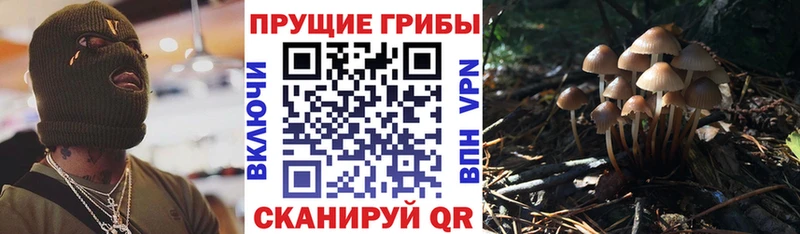 Галлюциногенные грибы ЛСД  Ревда 