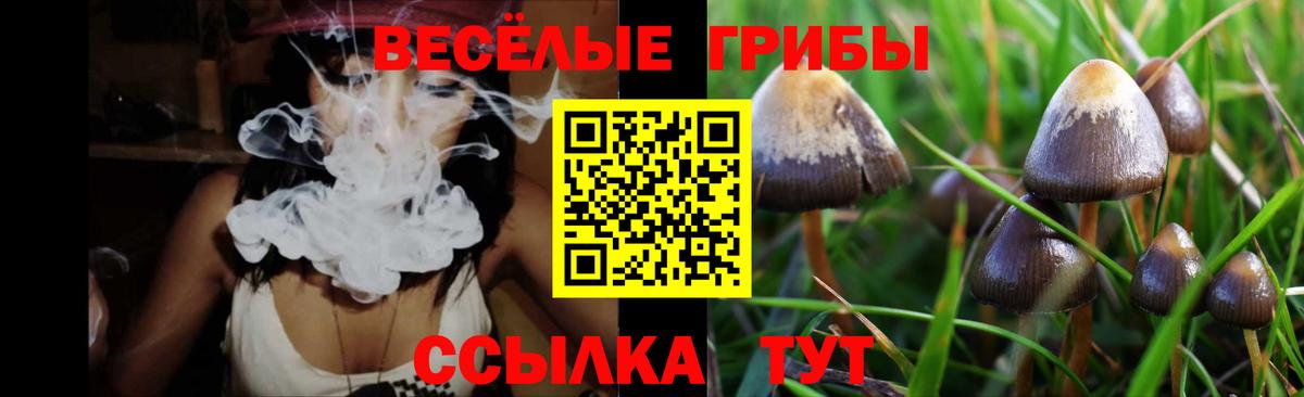 Ревда  Галлюциногенные грибы Cubensis  Вход с VPN  Псилоцибиновые грибы Magic Shrooms 